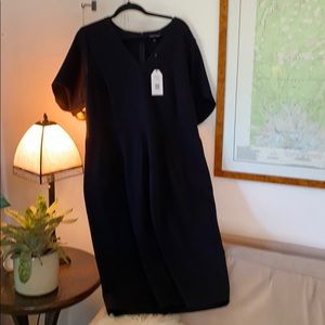 Universal Standard Moira Twill Dress